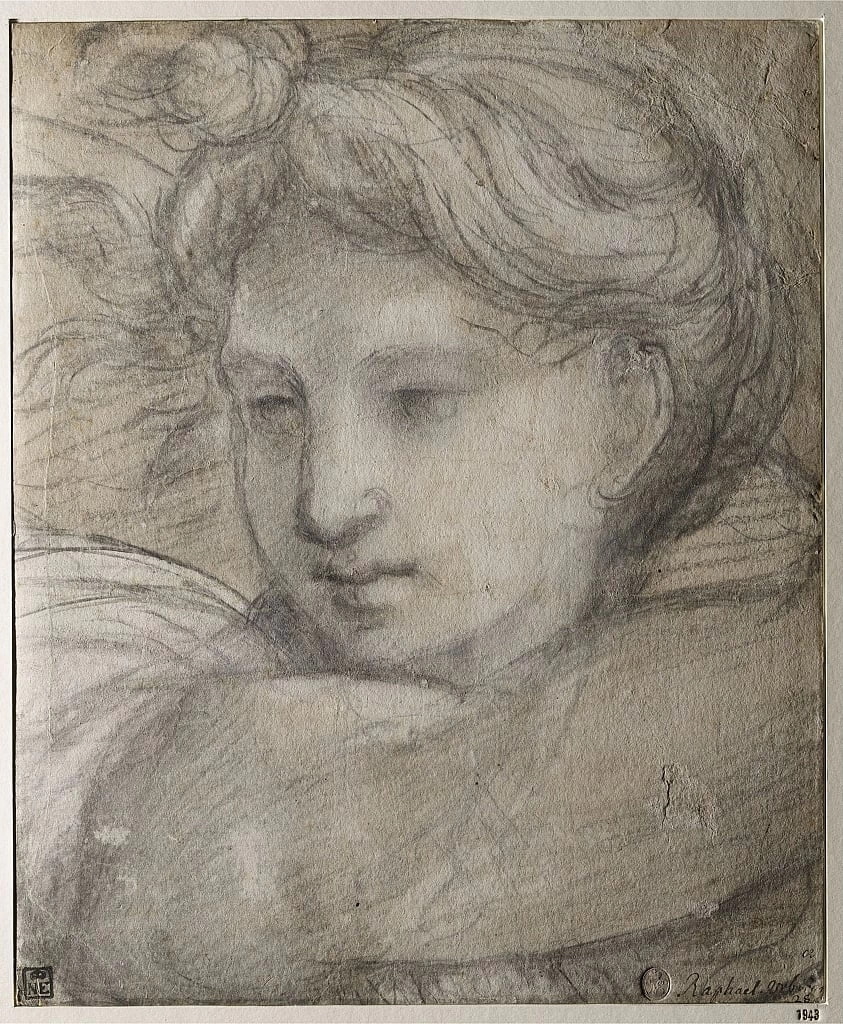 Sanzio - Testa di angelo